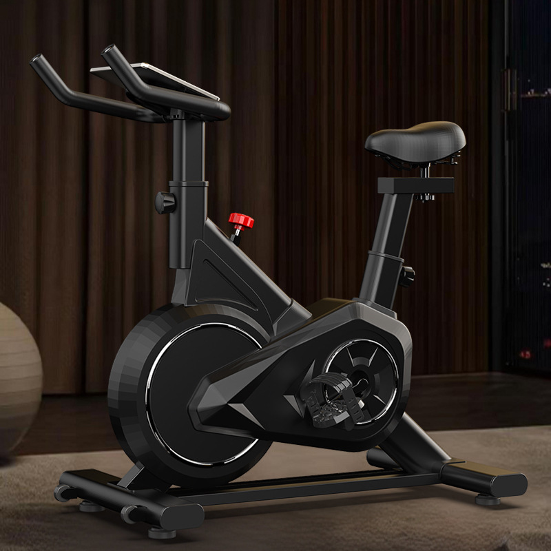 Intelligent Spinning Bike Home - Exercise Bike Magnetic Resistance 评论和价格