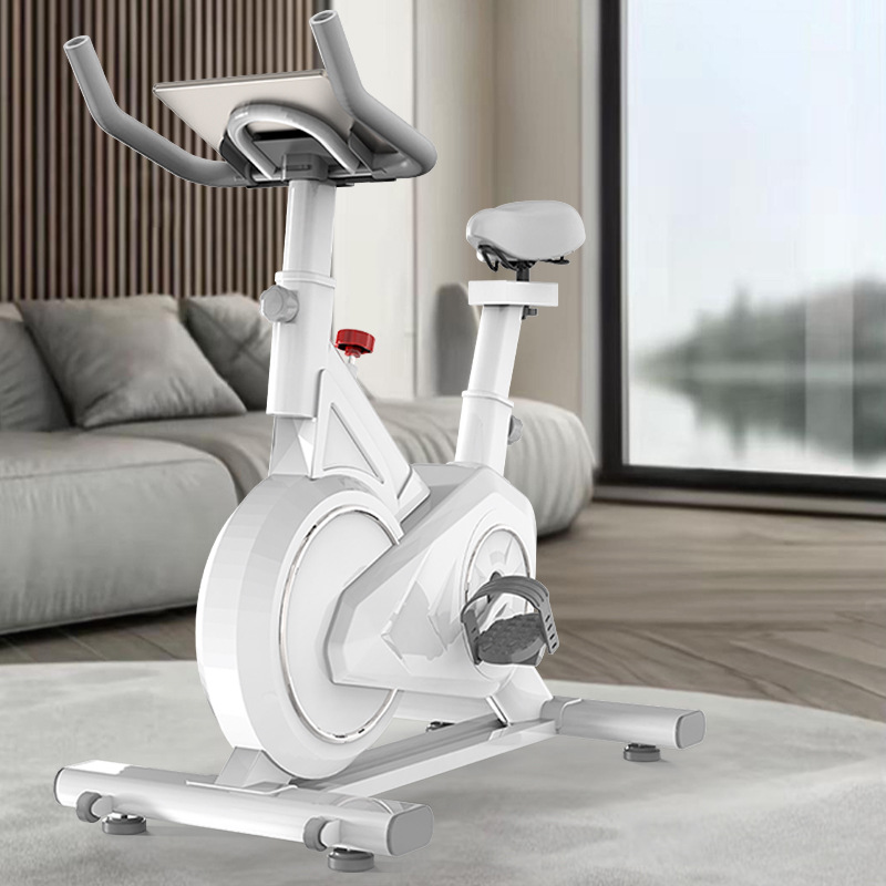 Intelligent Spinning Bike Home - Exercise Bike Magnetic Resistance 评论和价格