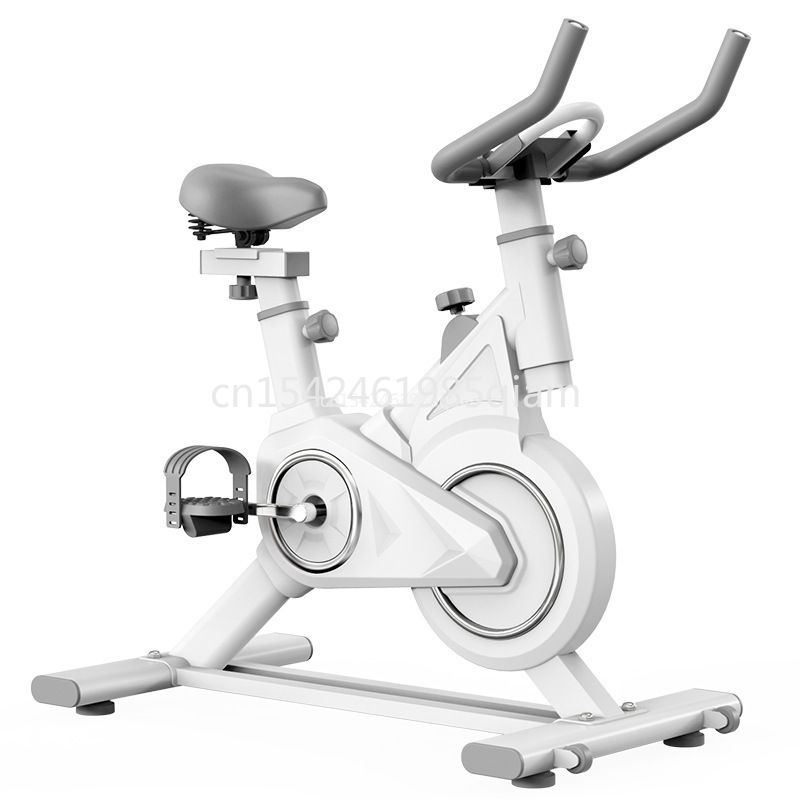 Indoor Upright Fitness Bike Du - Exercise Bike Magnetic Resistance 评论和价格