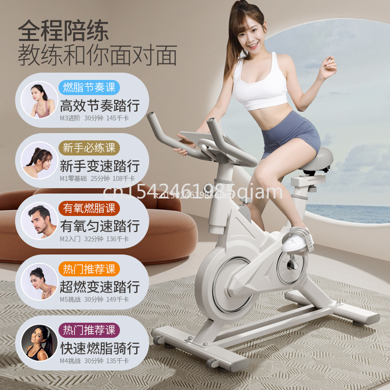 Indoor Upright Fitness Bike Du - Exercise Bike Magnetic Resistance 评论和价格